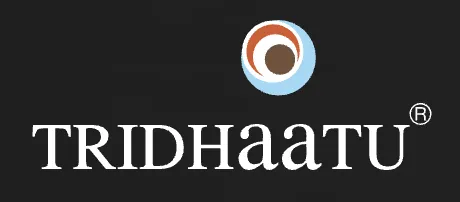 Tridhaatu Realty and Infra Pvt Ltd