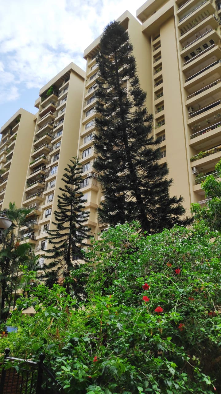 Green Acres — Andheri West (5)
