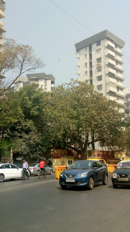 2 BHK Diamond Court in Nepeansea Road