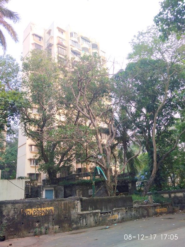 Sea King โ Bandra West