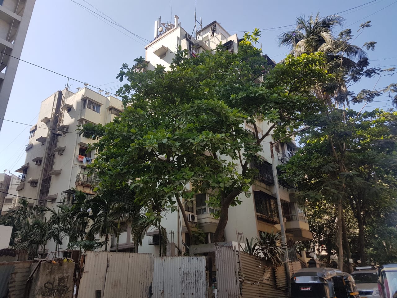 Ivory Tower for rent in Juhu