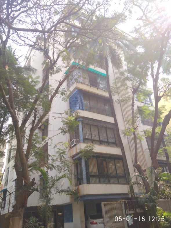 Orchid White in Khar West