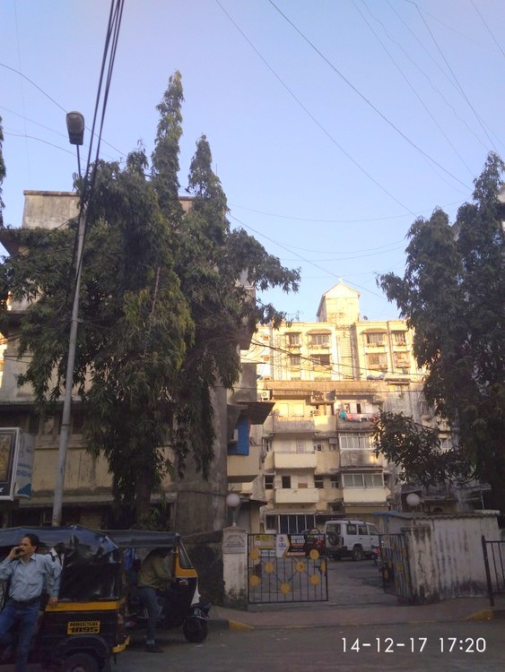 Palm Land in Khar West