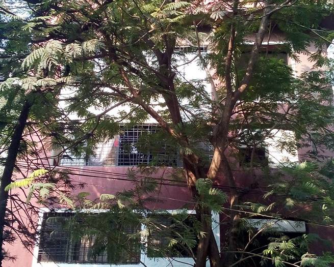 Lata Soni in Bandra West