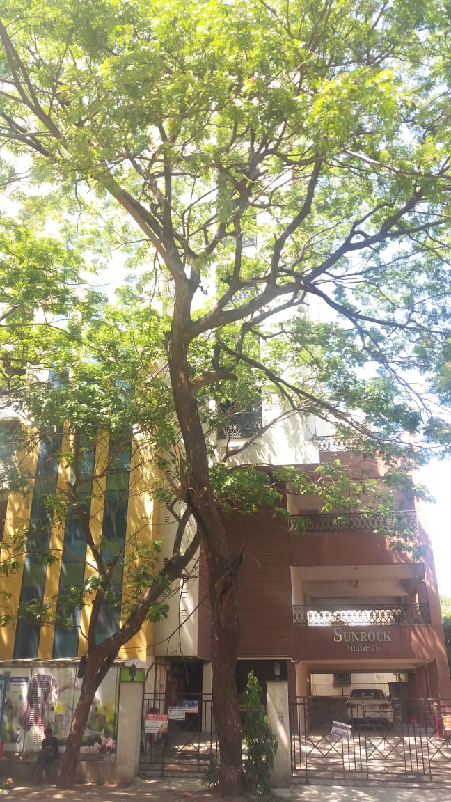 Sunrock Heights in Bandra West