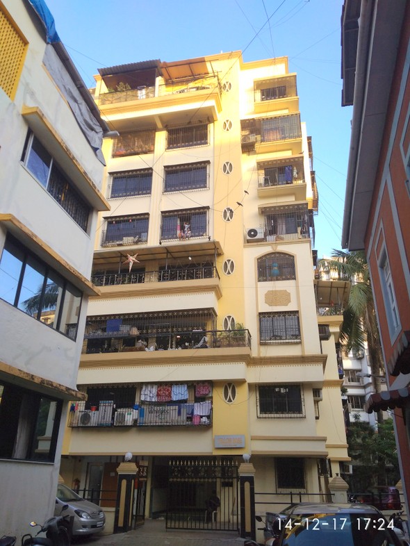 Yellow Rose in Bandra West