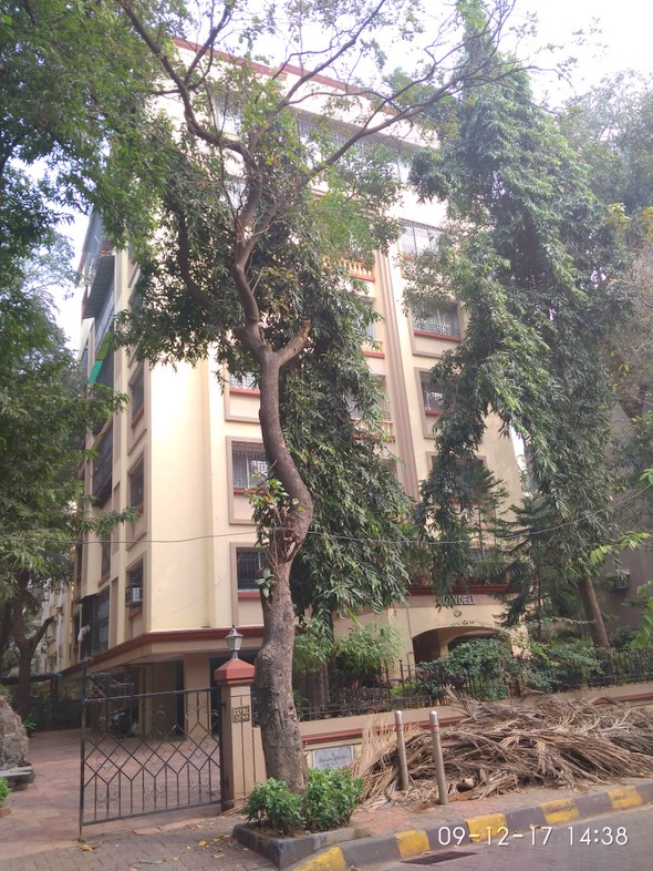 Cozydell in Bandra West