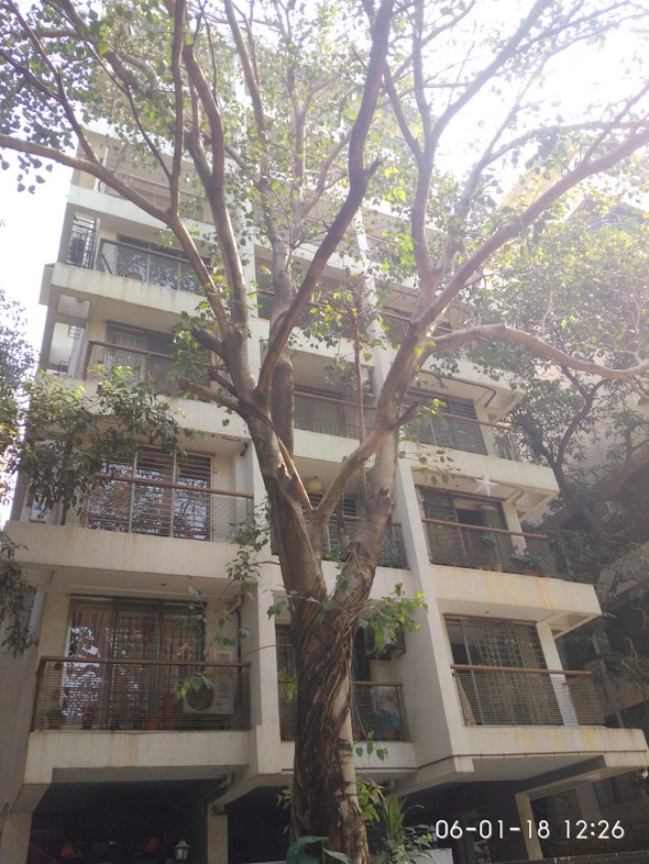 Pushparaj in Khar West