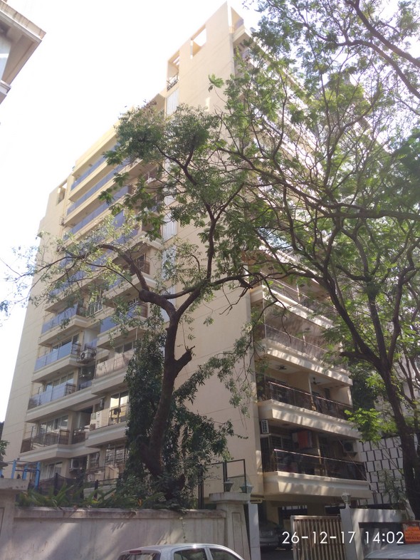 Casa D Angels in Bandra West