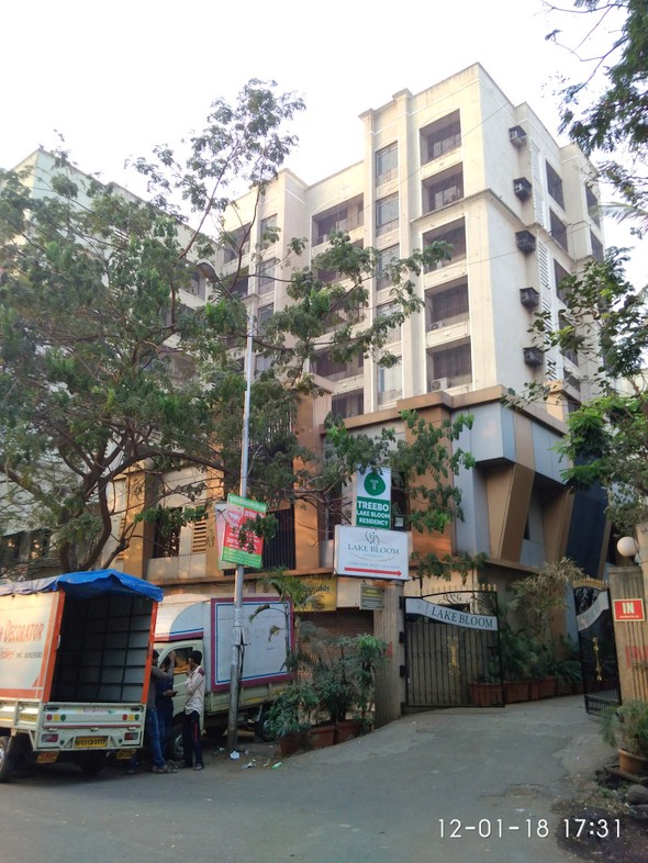 Lake Bloom in Powai