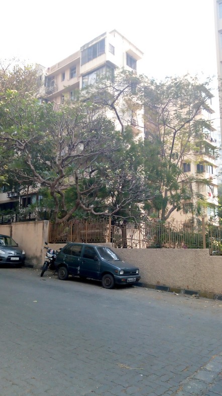 2 BHK Meera in Walkeshwar