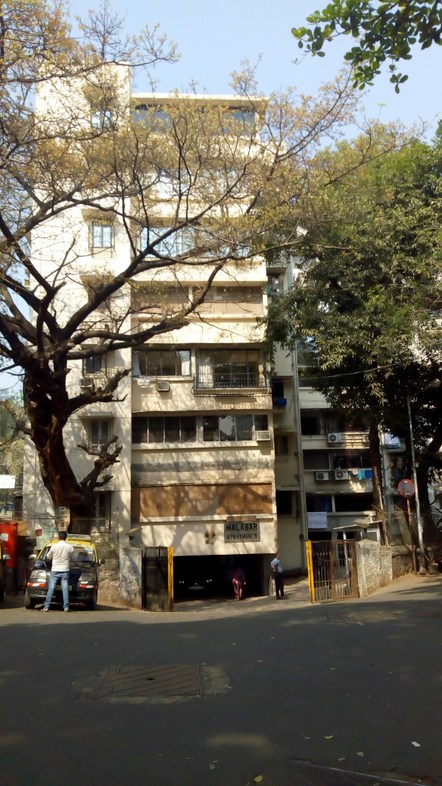 Malabar Apartment for rent in Nepeansea Road