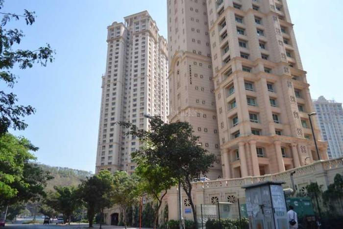 1 Daffodil in Powai