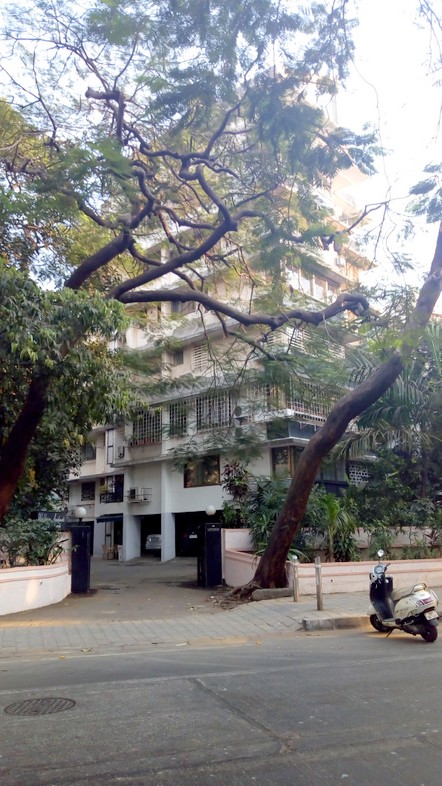 Wood House in Colaba