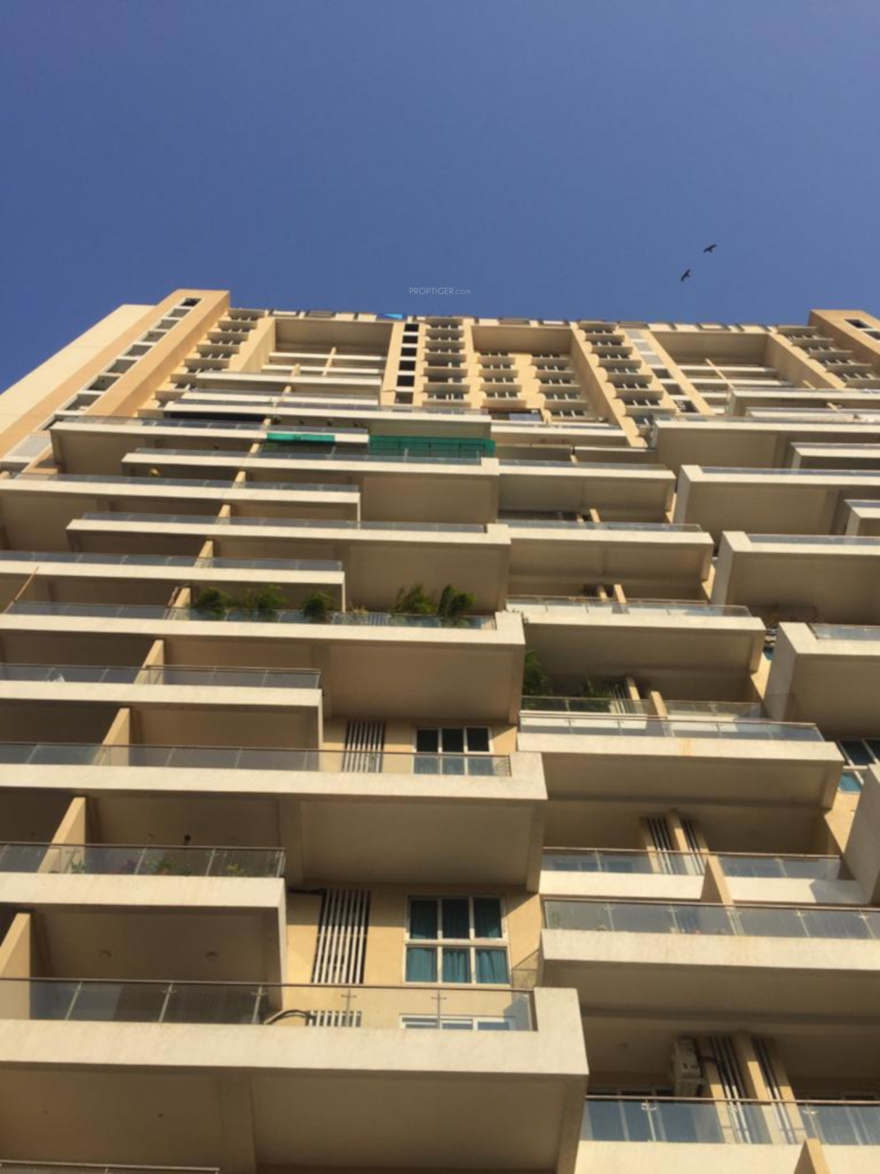 Rupji Avenue in Lower Parel