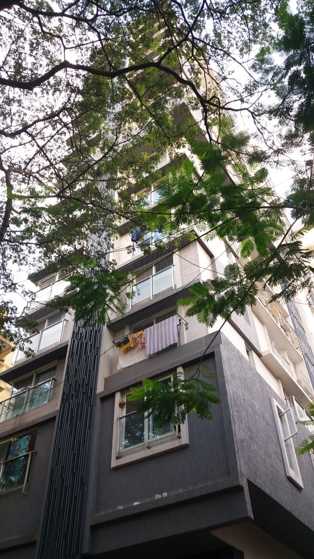 New Monalisa flat for rent - Image 2