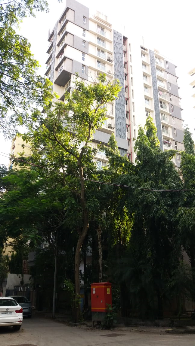 New Monalisa flat for rent - Image 3