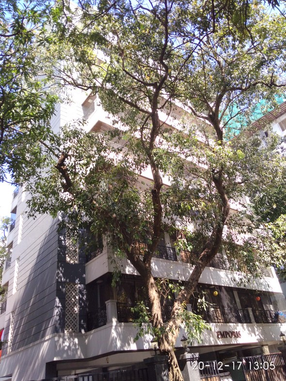Emporis in Bandra West