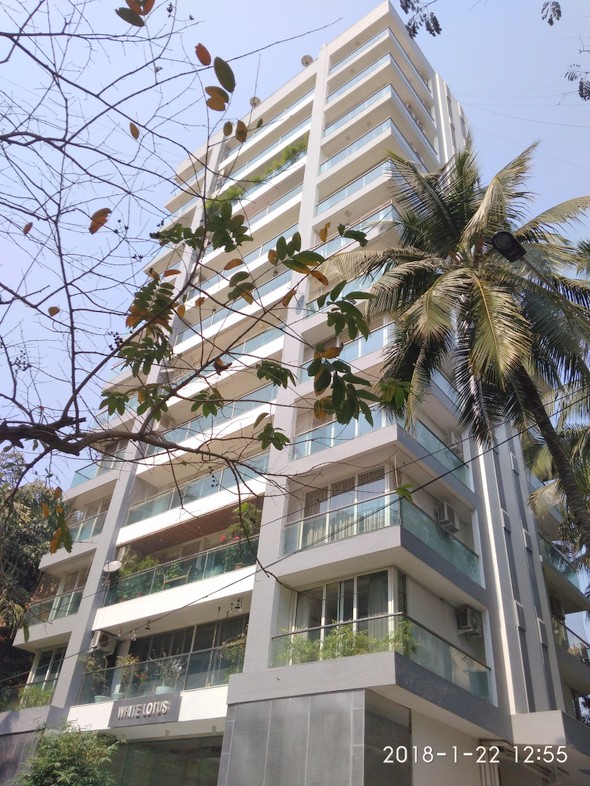 White Lotus in Santacruz West