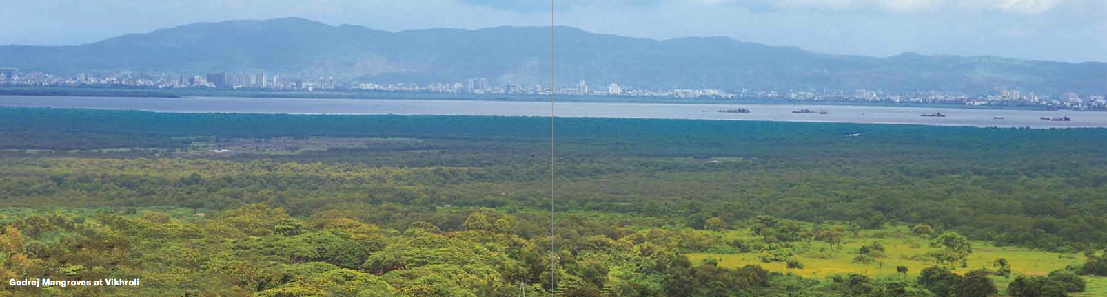 Godrej Platinum — Vikhroli (5)