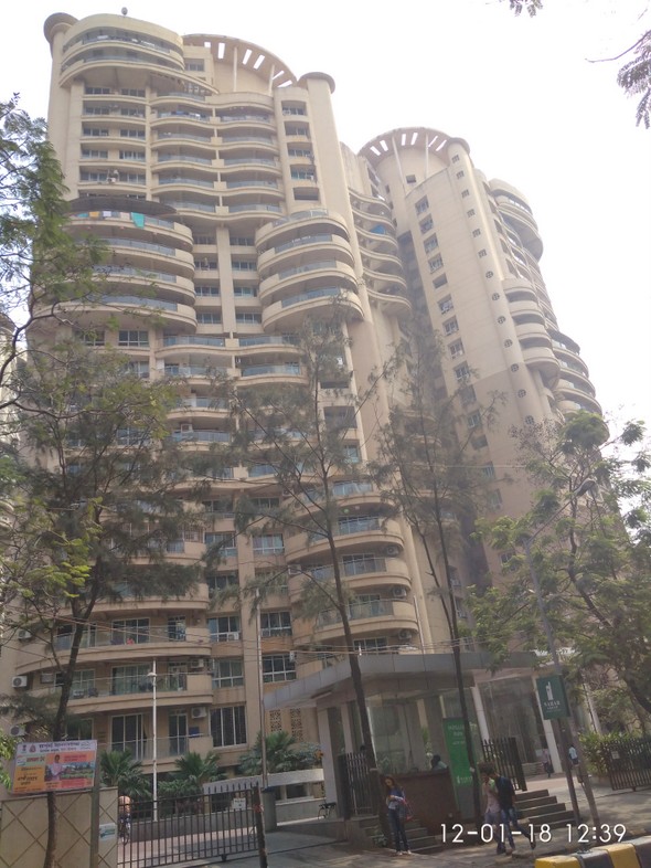 Mimosa and Mirabilis in Powai