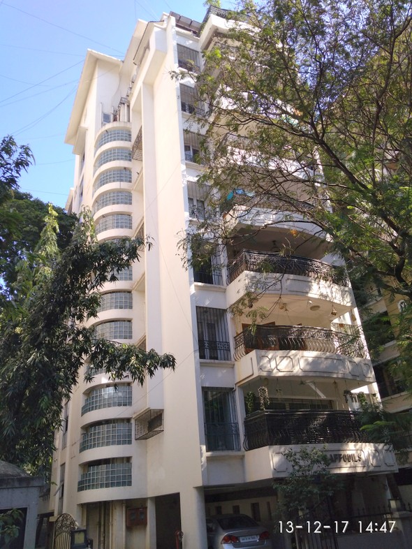 Daffodils in Bandra West