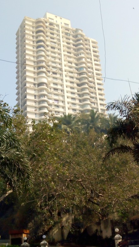 Mount Blanc in Kemps Corner