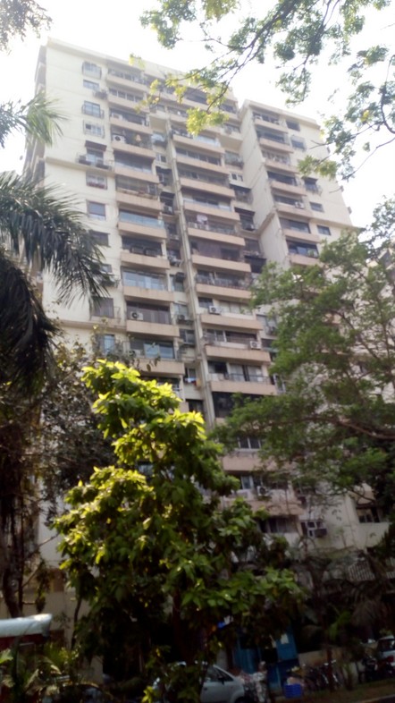 Sunflower in Cuffe Parade