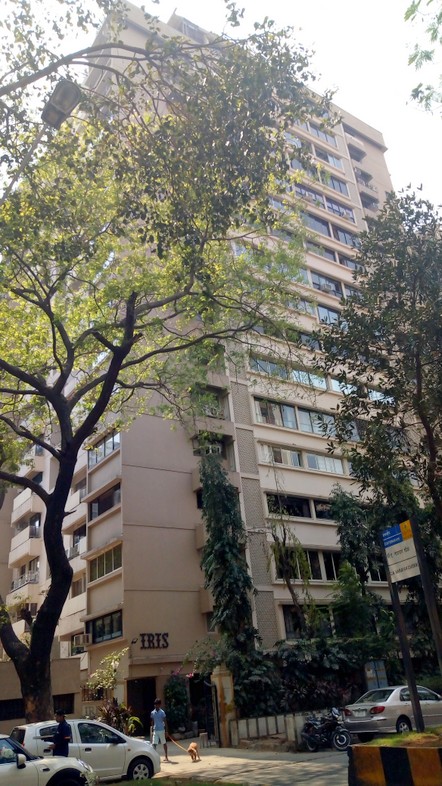 Iris Apartment for rent in Cuffe Parade