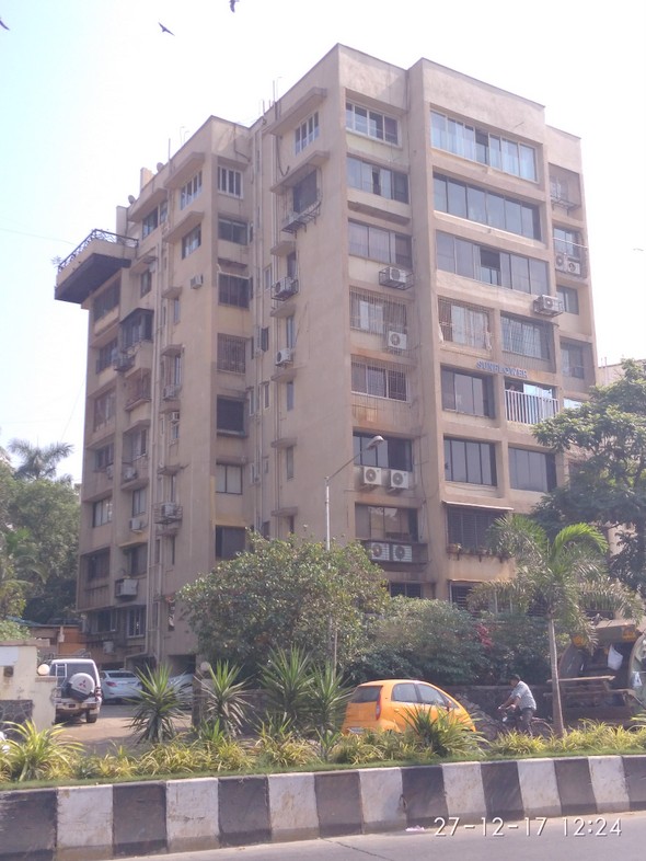 Sunflower in Bandra West