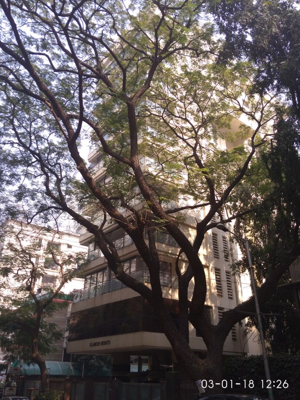 Glamour Heights — Khar West (2)