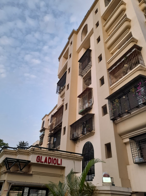 Gladioli — Andheri West (2)