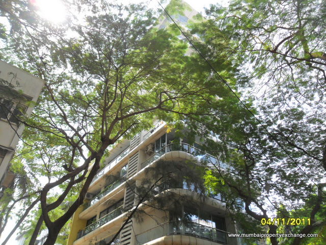 Galaxy Heaven in Juhu
