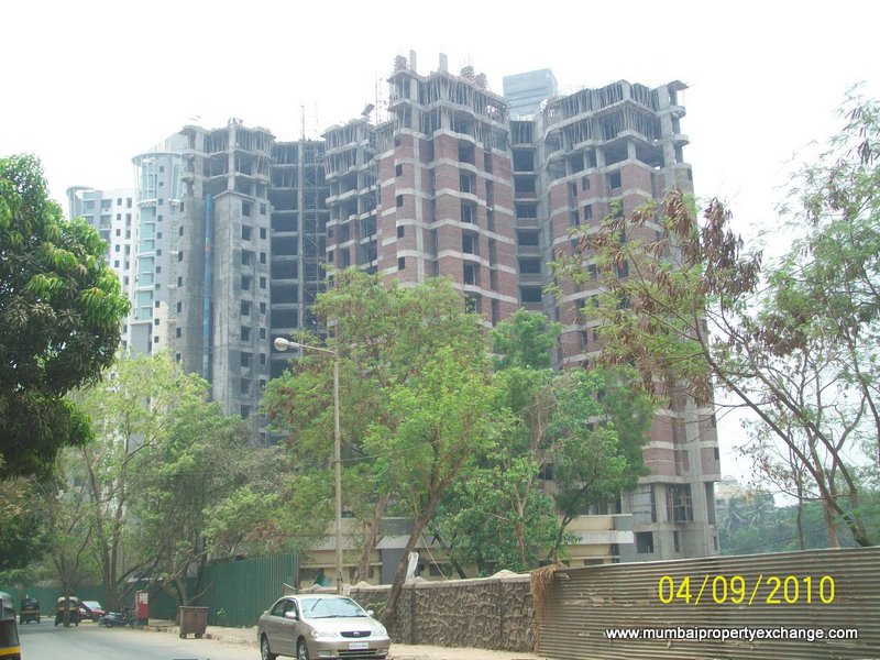 Thrill and Triumph flat for rent - Image 4