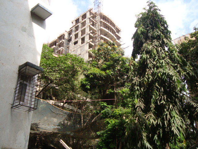 Ajmera Pristine — Borivali West (2)