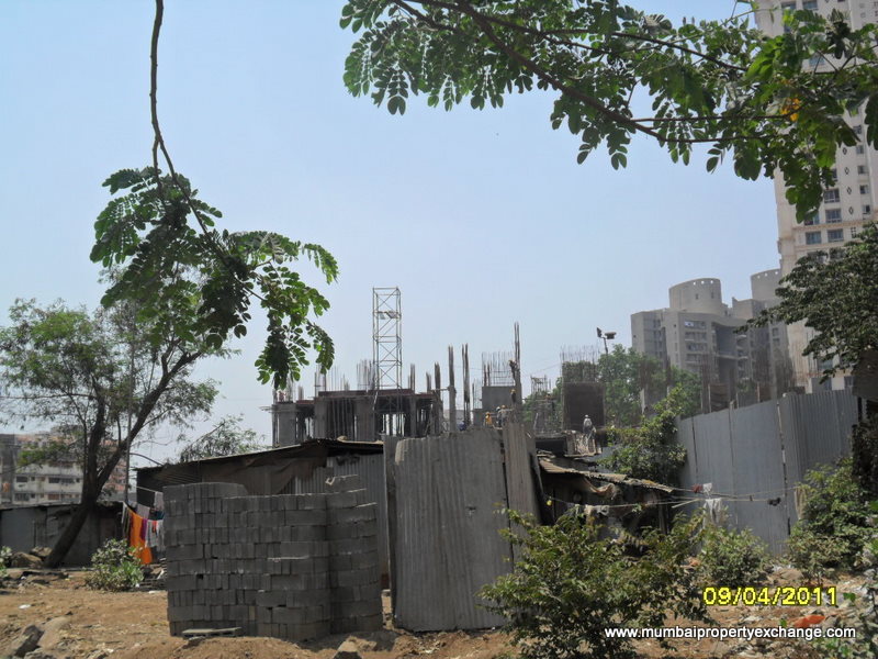 Iris — Thane West (5)