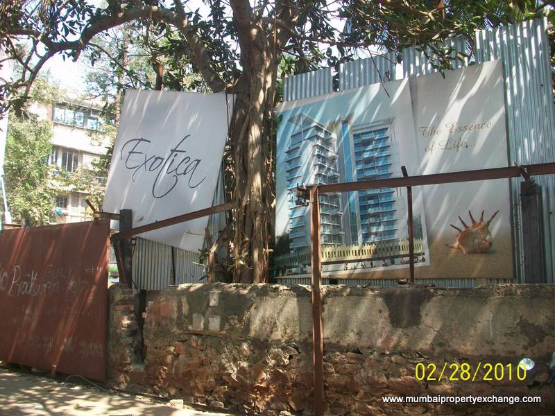 Exotica — Juhu (4)