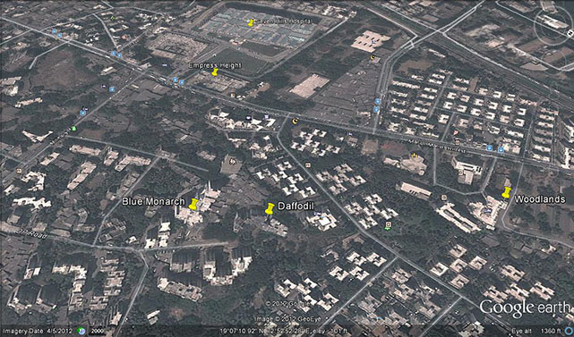 Daffodils — Andheri East (2)