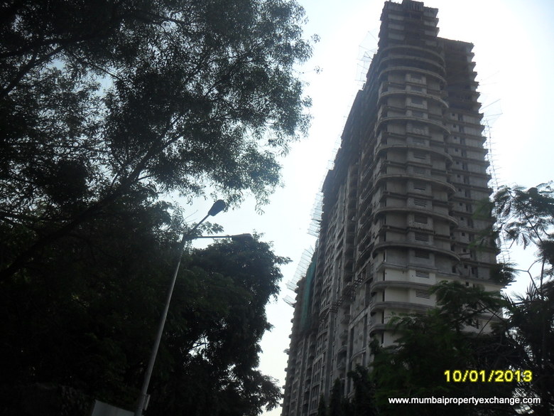 Cosmos Horizon — Thane West (8)