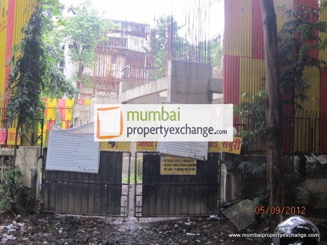 Sai Juhu Tara flat for rent - Image 5