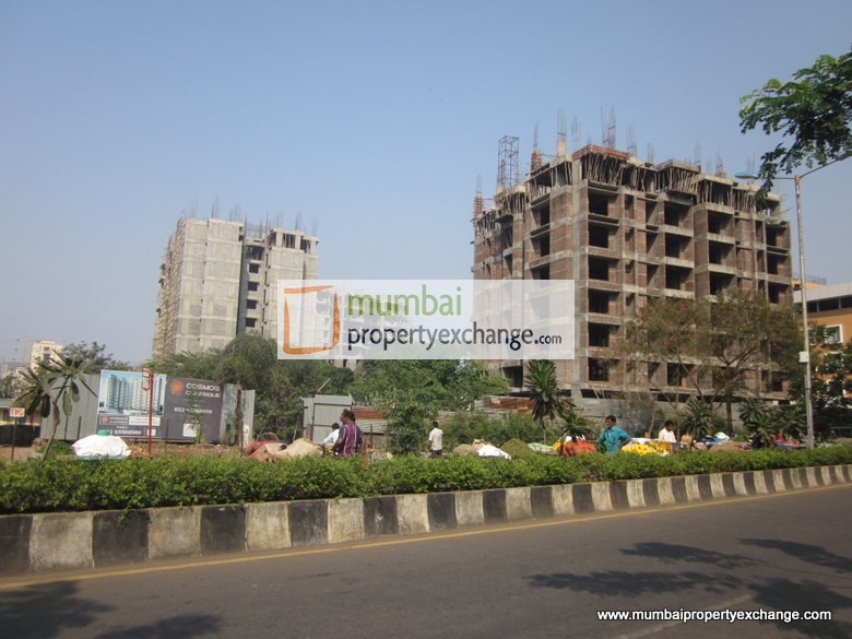 Cosmos Classique — Thane West (5)