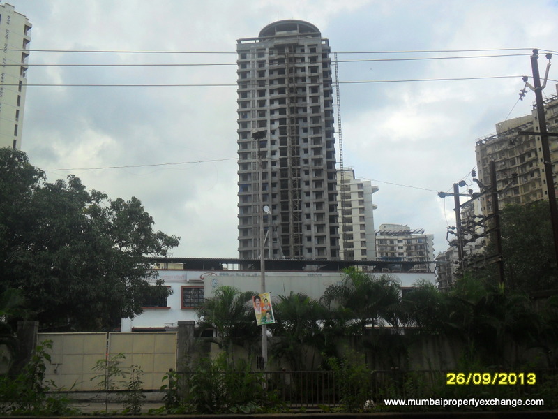 Marigold Tulip — Thane West (4)