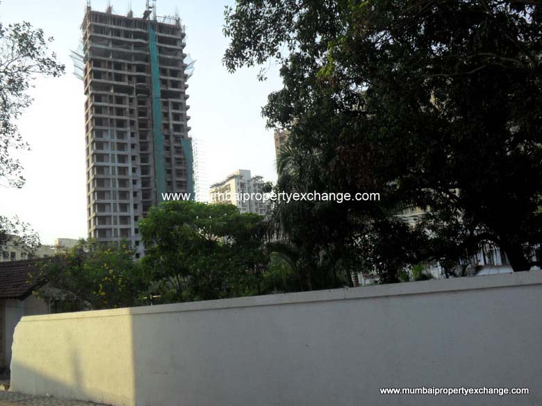 Marigold Tulip — Thane West (2)