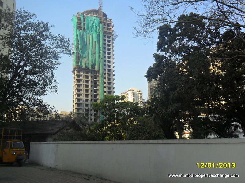 Marigold Tulip — Thane West (3)