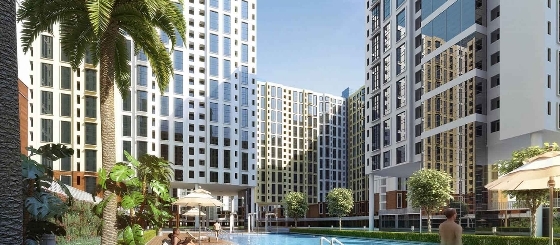Rising City Dahlia Emilia — Ghatkopar East (1)