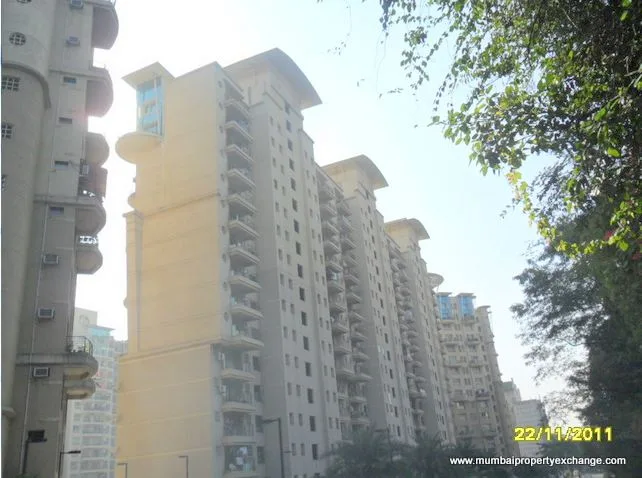Callalily โ Powai