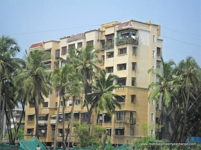 Bunch Berry — Andheri West