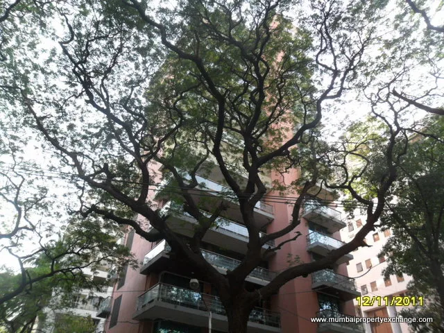 Anand Apartments, 15th Road, Khar, Khar West — Sold Out photo
