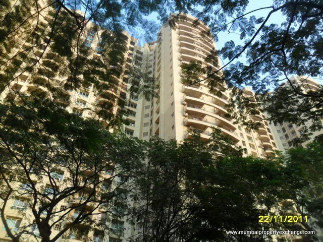 Yucca — Powai