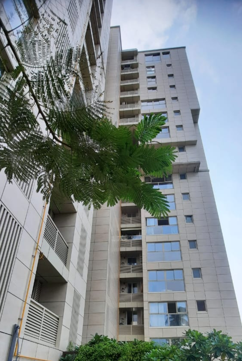 Navroze — Bandra West